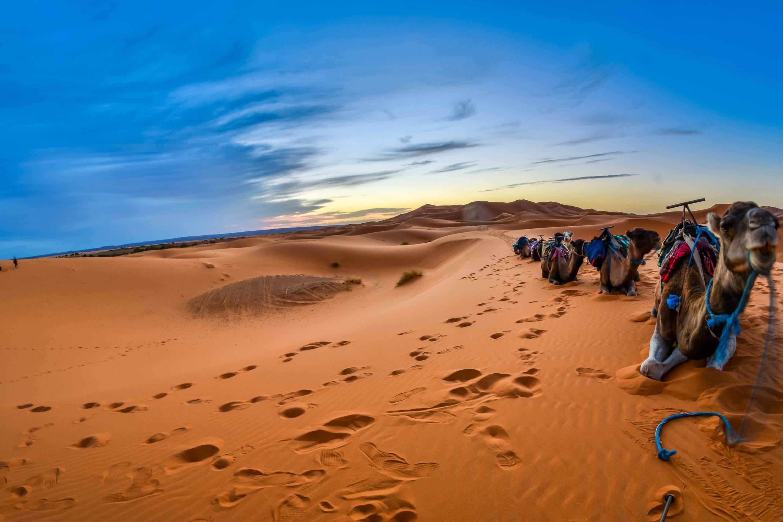 L’Autoroute Trump : Un corridor stratégique pour le Maroc dans le désert du Sahara